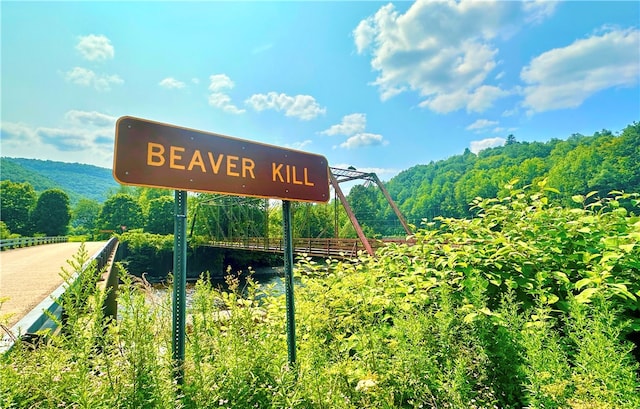 Petersen Rd, Hancock, NY 13783