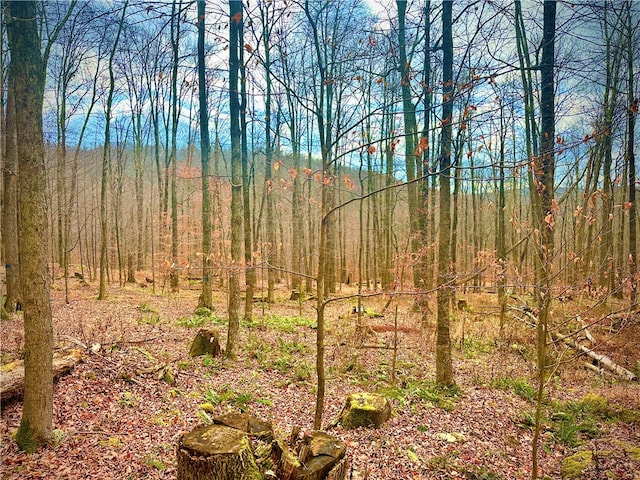 Petersen Rd, Hancock, NY 13783