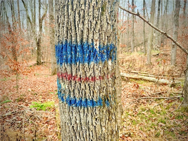 Petersen Rd, Hancock, NY 13783