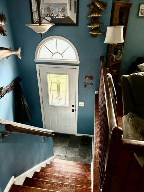 foyer entrance with dark hardwood / wood-style floors