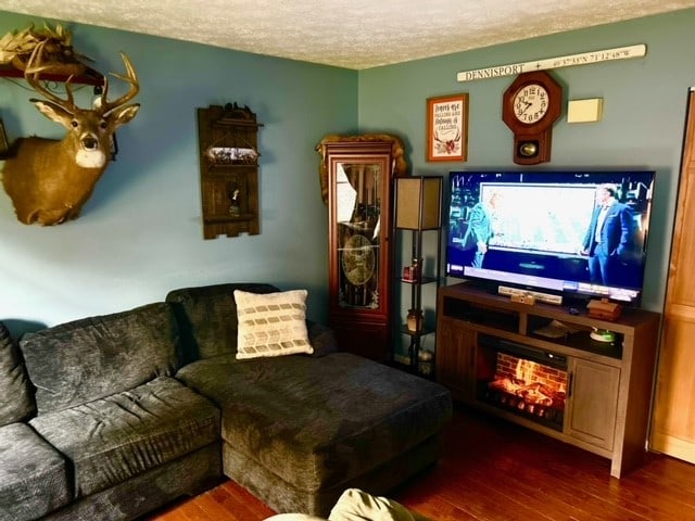 living room with wood-type flooring and a textured ceiling