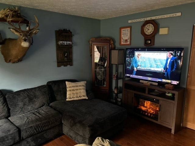 living room featuring hardwood / wood-style floors and a textured ceiling