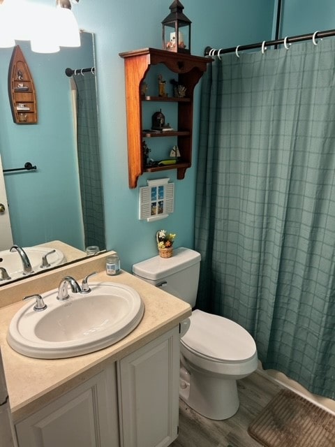 bathroom featuring toilet, vanity, and wood-type flooring