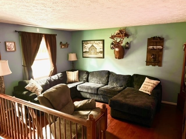 living room with hardwood / wood-style floors and a textured ceiling