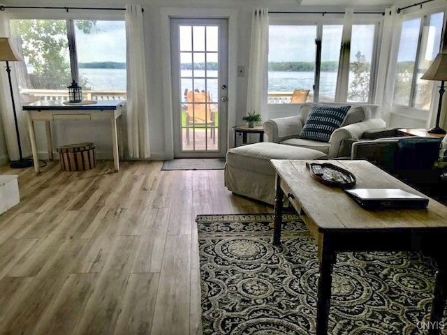 living room with light hardwood / wood-style floors and a water view