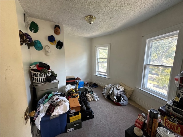 misc room featuring carpet, a wealth of natural light, and a textured ceiling