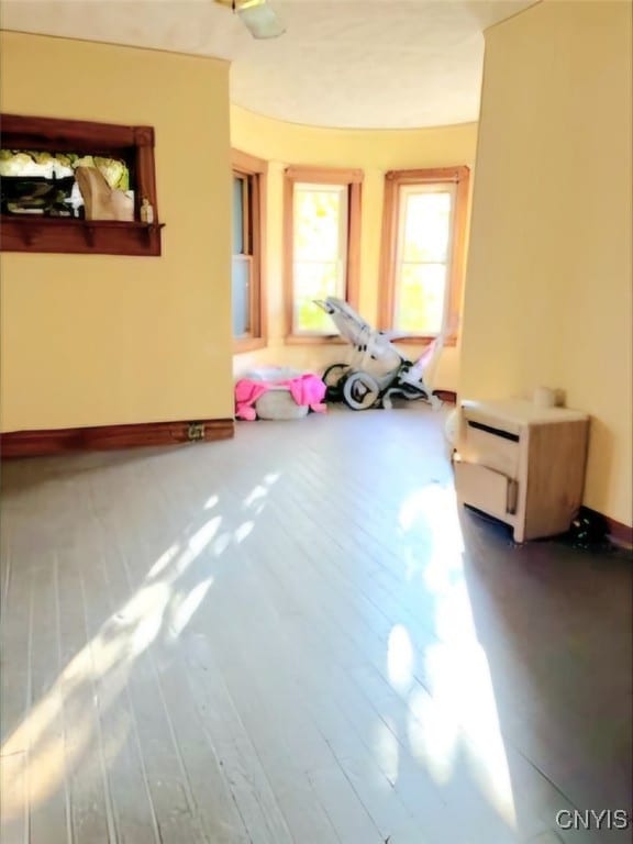 interior space featuring wood-type flooring