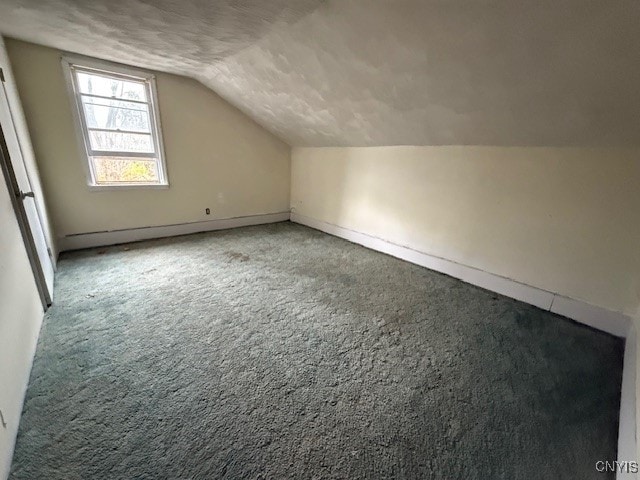 bonus room featuring vaulted ceiling and carpet floors