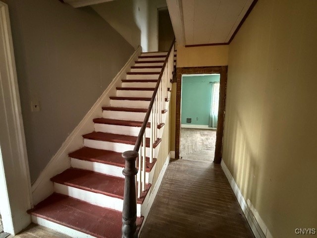 staircase with hardwood / wood-style flooring