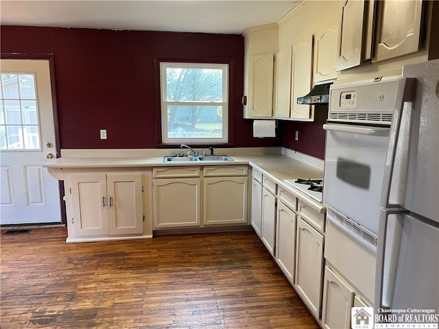 kitchen featuring cream cabinetry, white appliances, sink, and dark hardwood / wood-style floors