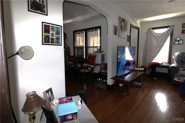 living room with wood-type flooring