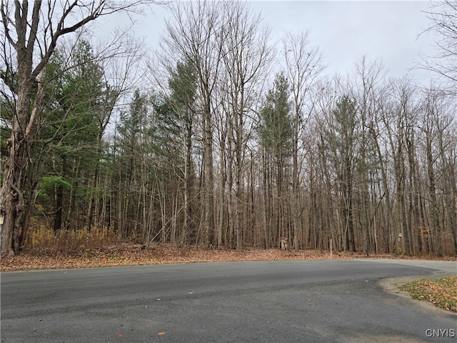 Middle Rd, Orleans NY, 13656 land for sale