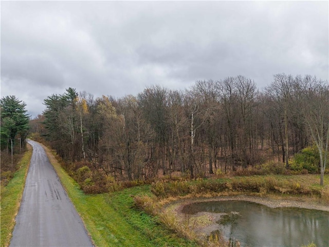 Stilson Rd, Portage, NY 14517 - photo 2