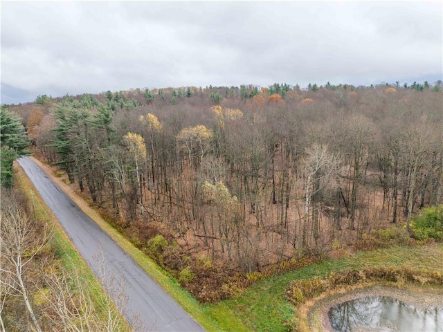 Stilson Rd, Portage, NY 14517 - photo 3