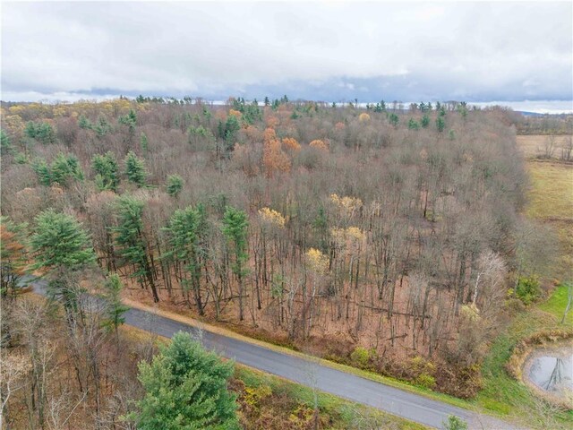 Stilson Rd, Portage, NY 14517 - photo 4