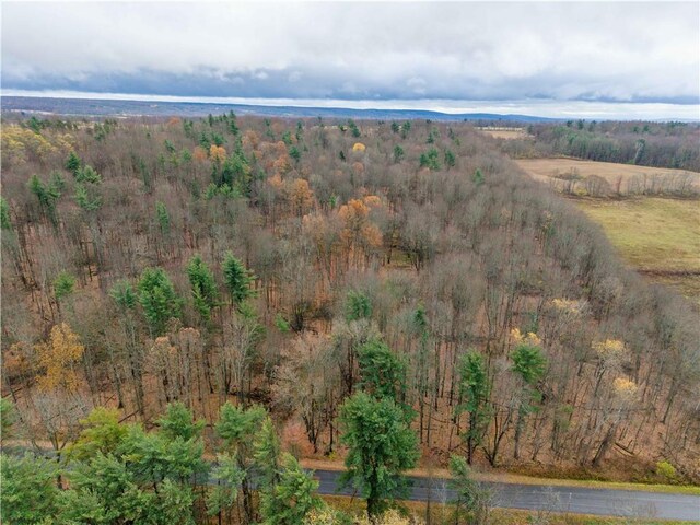 Stilson Rd, Portage, NY 14517 - photo 5