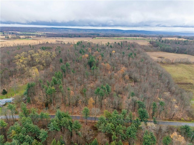 Stilson Rd, Portage, NY 14517 - photo 1