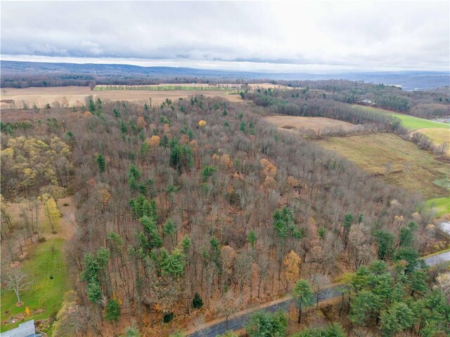 Stilson Rd, Portage, NY 14517 - photo 6