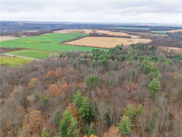 Stilson Rd, Portage, NY 14517 - photo 9