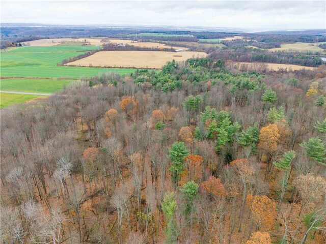 Stilson Rd, Portage, NY 14517 - photo 10