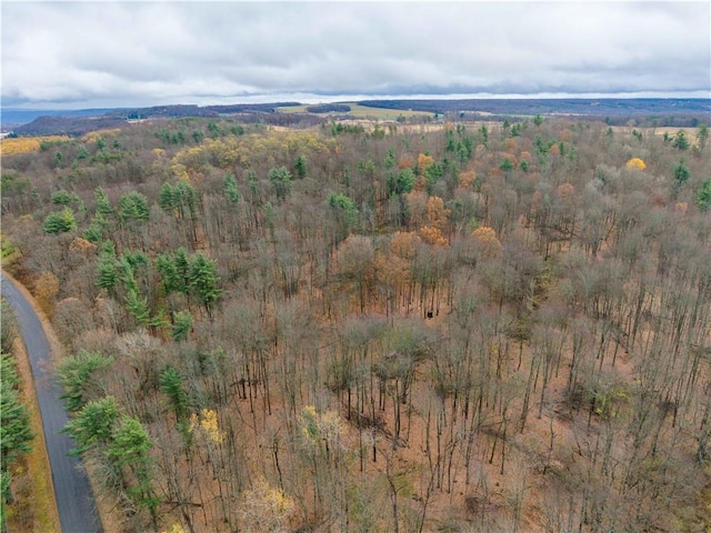Stilson Rd, Portage, NY 14517 - photo 11