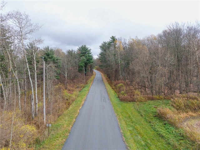 Stilson Rd, Portage, NY 14517 - photo 12