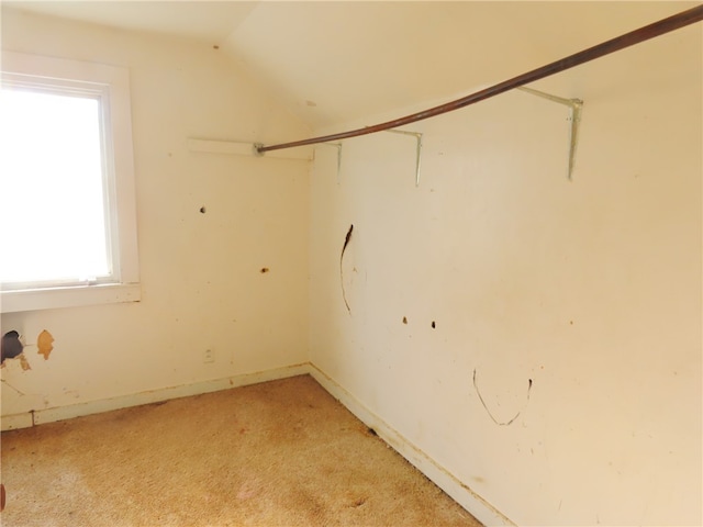 spacious closet featuring vaulted ceiling and light colored carpet