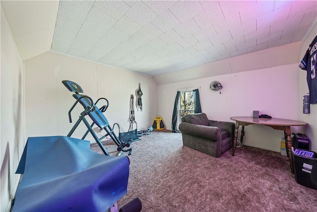 workout area featuring carpet flooring and lofted ceiling