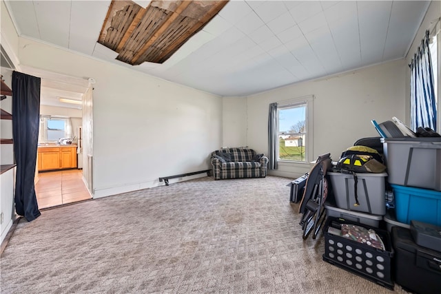 miscellaneous room with carpet flooring