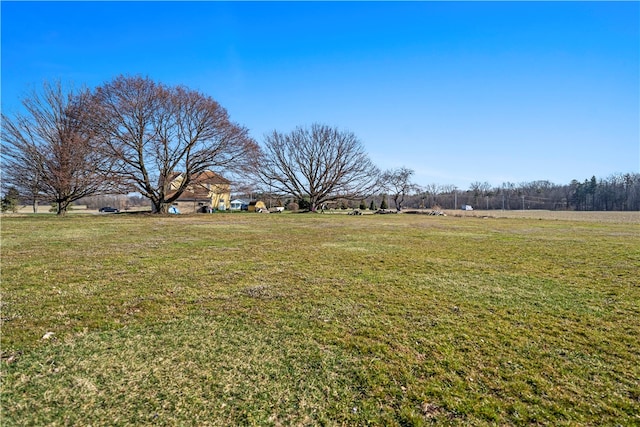 view of yard featuring a rural view