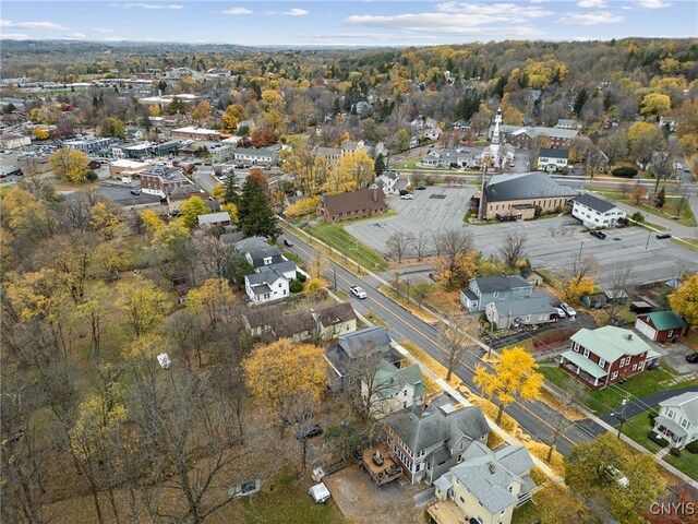 bird's eye view