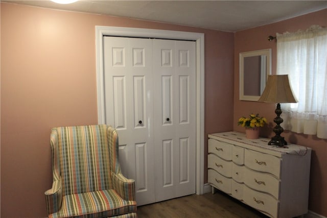 living area featuring dark wood-type flooring