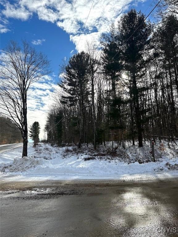 206 Durgee Rd, Orwell NY, 13302 land for sale