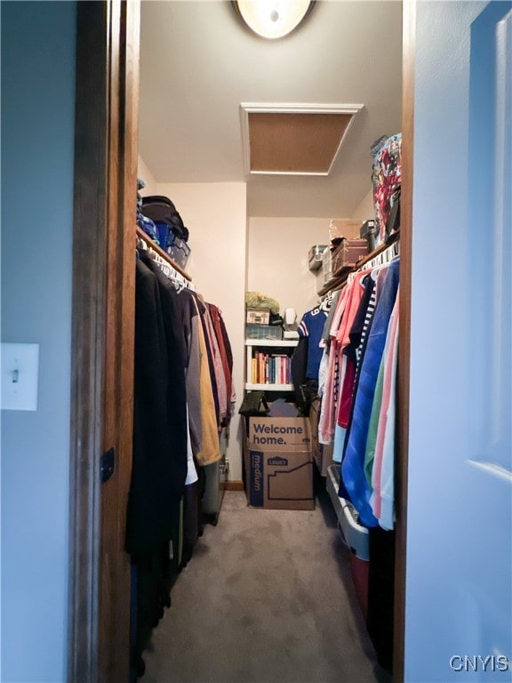 spacious closet with carpet flooring