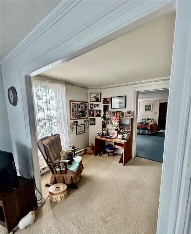 office space featuring carpet flooring and crown molding