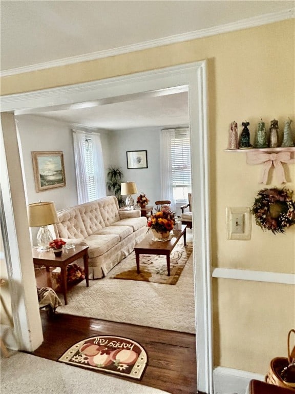 living room with ornamental molding