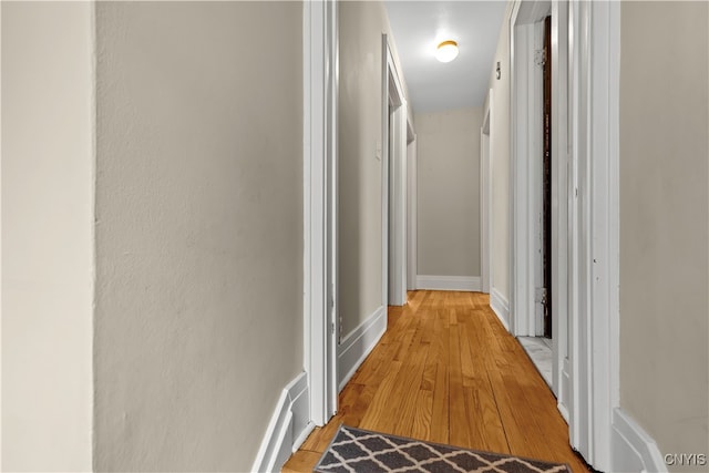 hallway with hardwood / wood-style floors