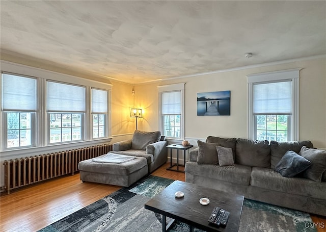 living room featuring radiator, light wood-type flooring, and ornamental molding