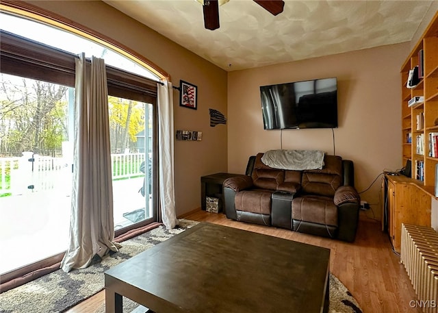 living room featuring ceiling fan and light hardwood / wood-style flooring