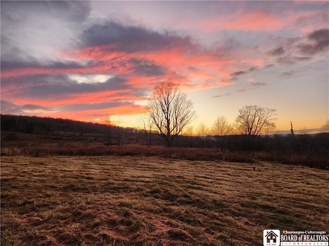 1821 Bush Rd, French Creek NY, 14724 land for sale