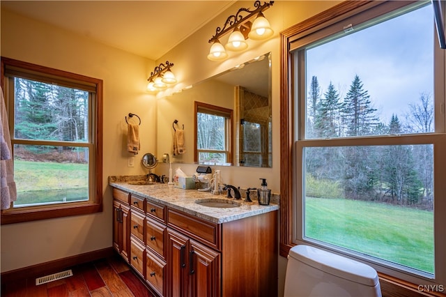 bathroom featuring vanity, wood-type flooring, and plenty of natural light