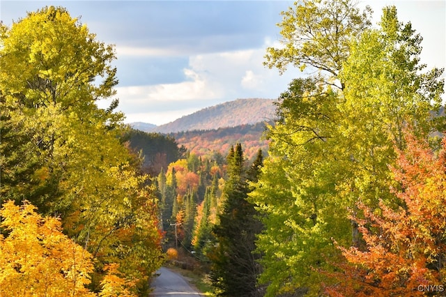 property view of mountains