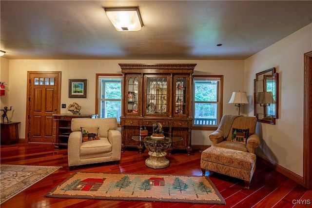 sitting room featuring plenty of natural light and dark wood-type flooring