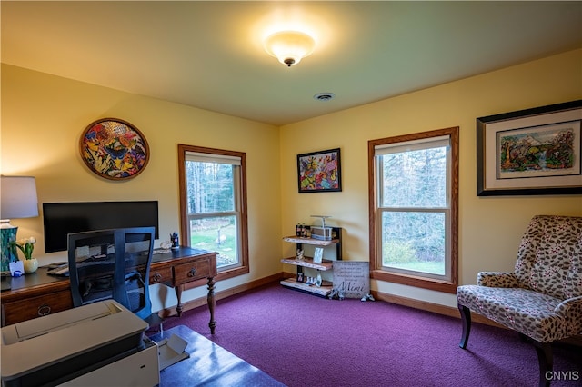 carpeted home office featuring plenty of natural light