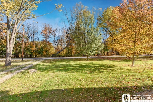 92 Oak St, Westfield, NY 14787 - photo 34