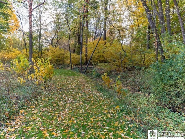 92 Oak St, Westfield, NY 14787 - photo 33