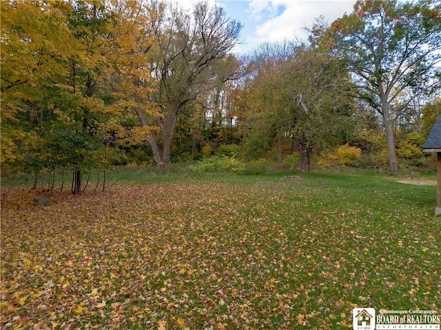 92 Oak St, Westfield, NY 14787 - photo 32