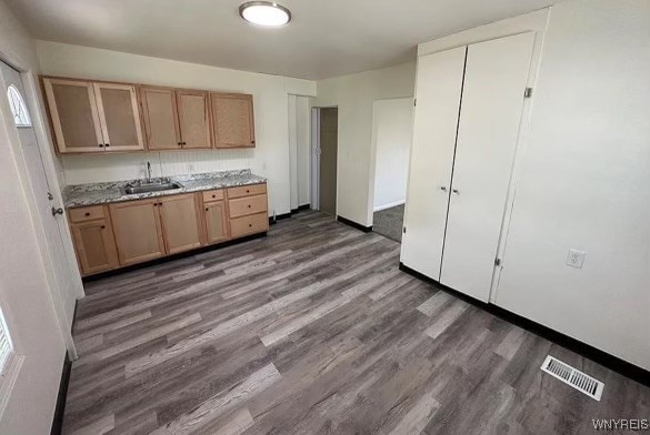 kitchen with light stone countertops, sink, and dark hardwood / wood-style flooring