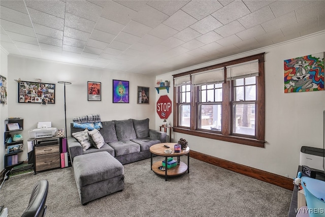 living room with crown molding and carpet floors