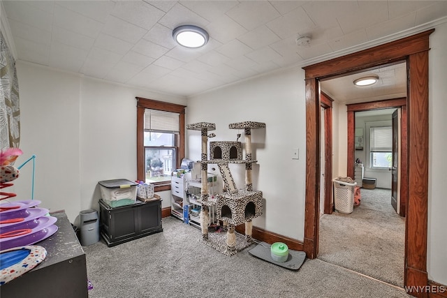 misc room featuring crown molding and carpet